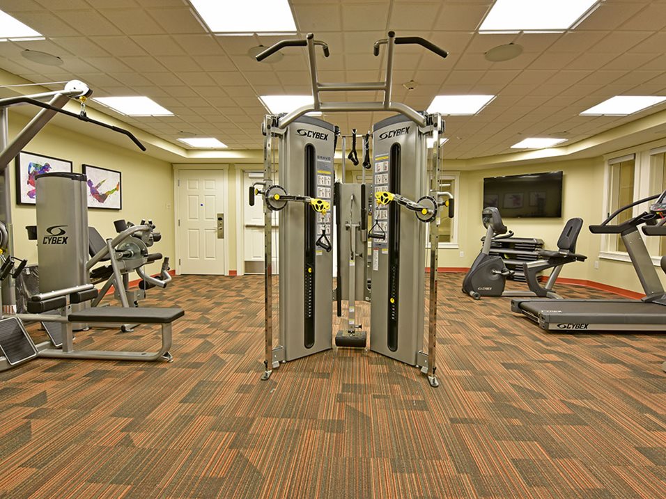 gym and fitness center