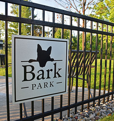 dog park